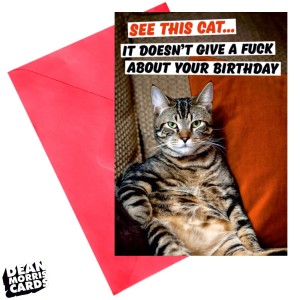Поздравителна картичка "Виждате ли тази котка? Изобщо не ѝ пука, че имате рожден ден!"